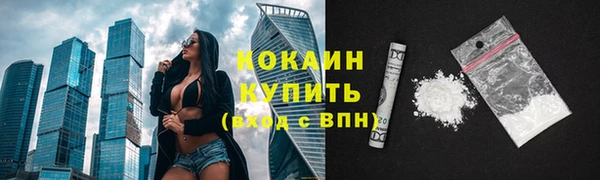 шишки Новозыбков