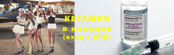 шишки Новозыбков