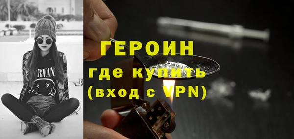 прущие грибы Новодвинск