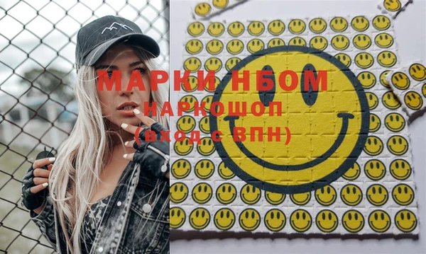 шишки Новозыбков