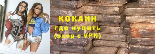 прущие грибы Новодвинск