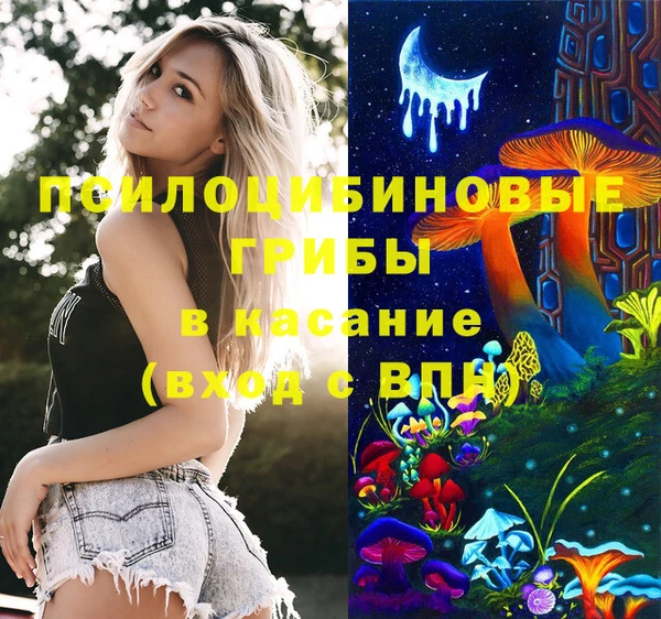 шишки Новозыбков