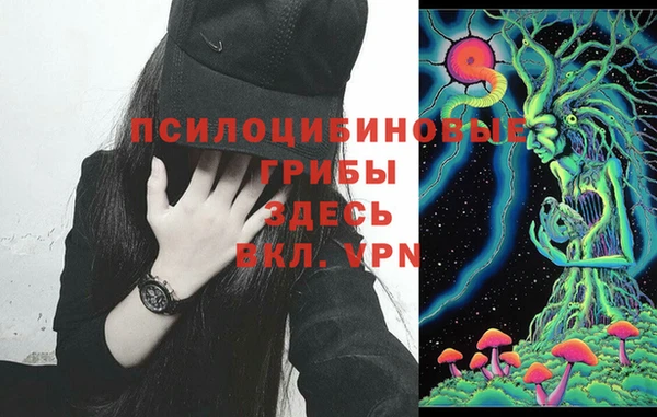 скорость Аркадак